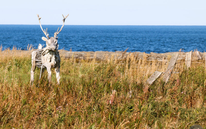 Gaspésie - Canada - 2019
