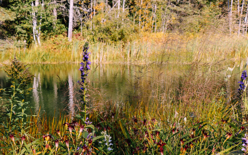 Jardin des Métis - Canada - 2019