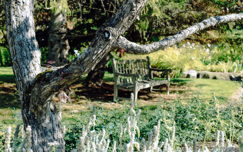 Jardin des Métis - Canada - 2019