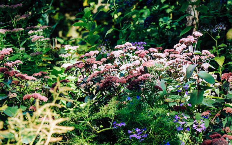 Jardin des Métis - Canada - 2019