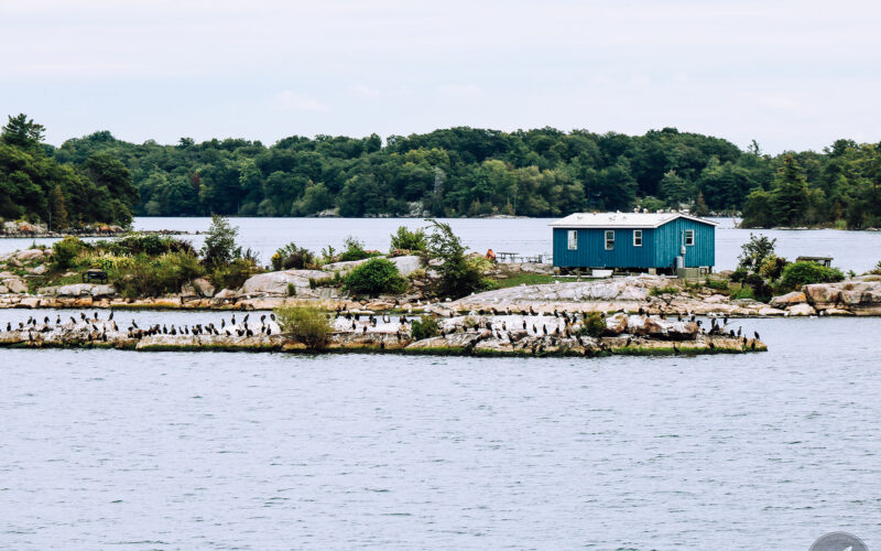 Les 1000 îles - Canada - 2019