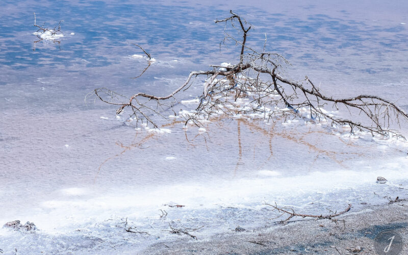 Neige Estivale - Lumière Salée - Grande Saline - Saint-Barthélemy - 2020