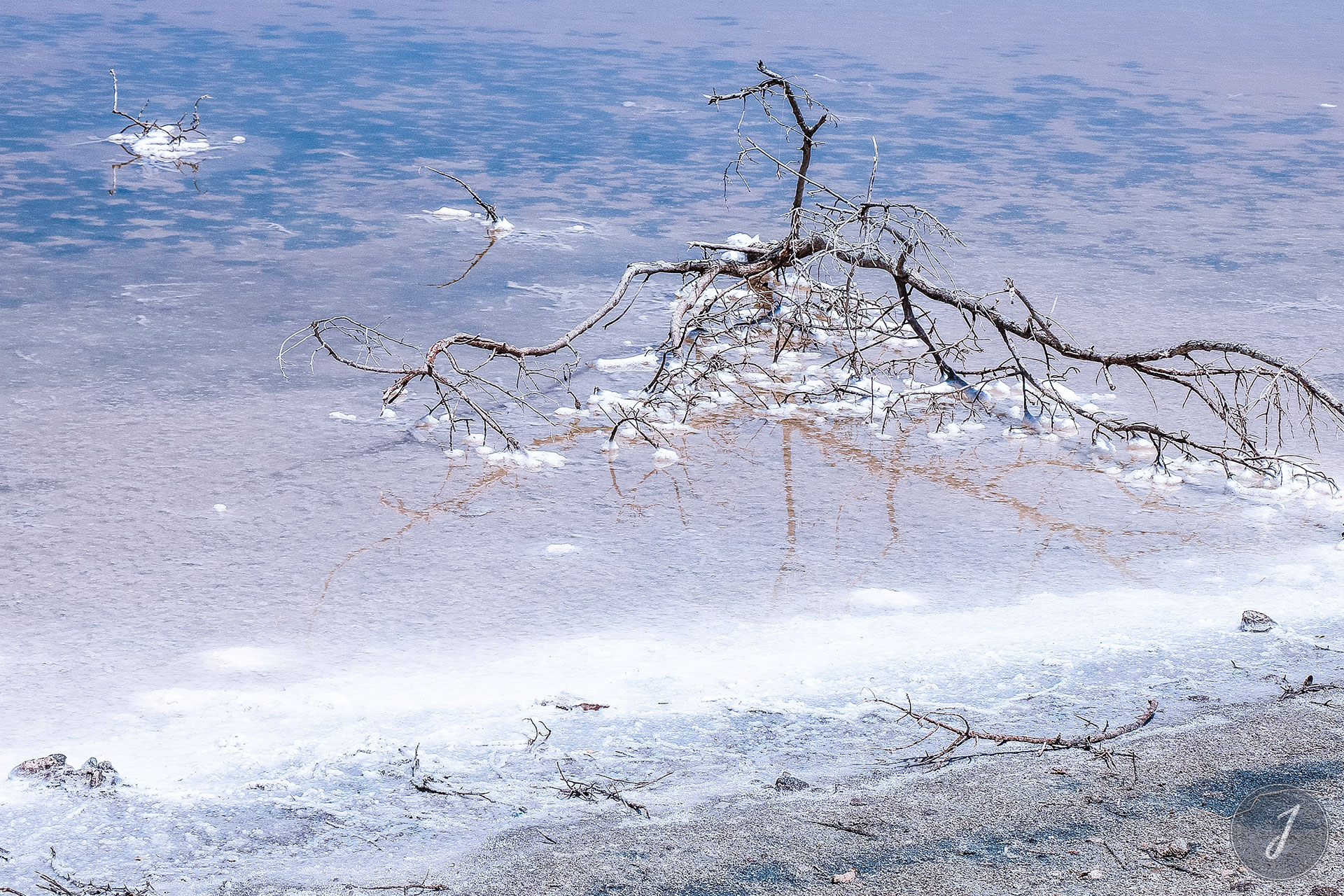 Neige Estivale - Lumière Salée - Grande Saline - Saint-Barthélemy - 2020