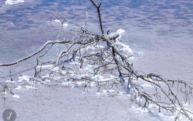 Neige Estivale - Lumière Salée - Grande Saline - Saint-Barthélemy - 2020