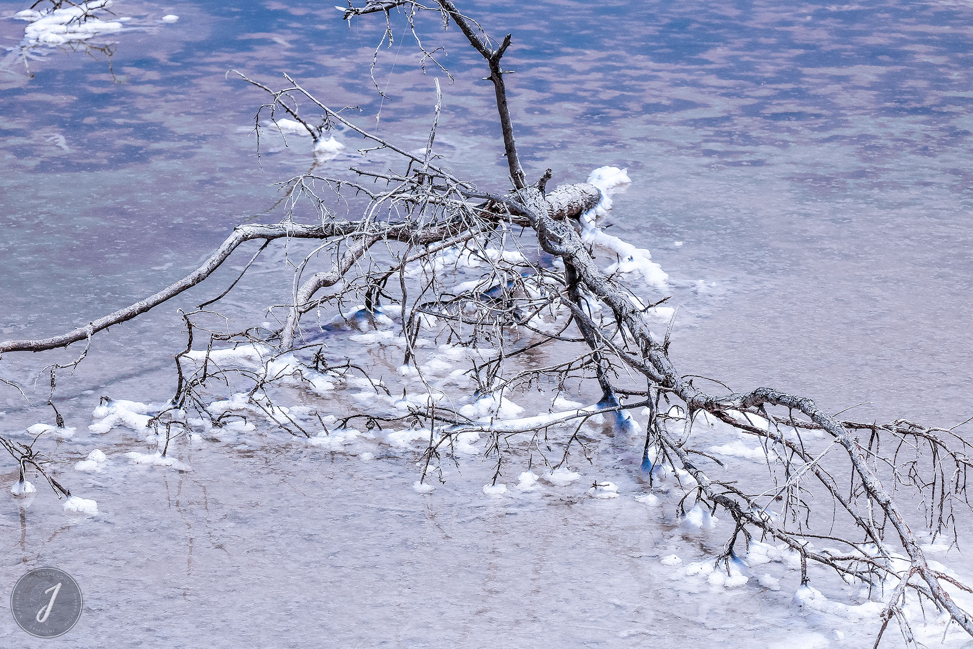 Neige Estivale - Lumière Salée - Grande Saline - Saint-Barthélemy - 2020