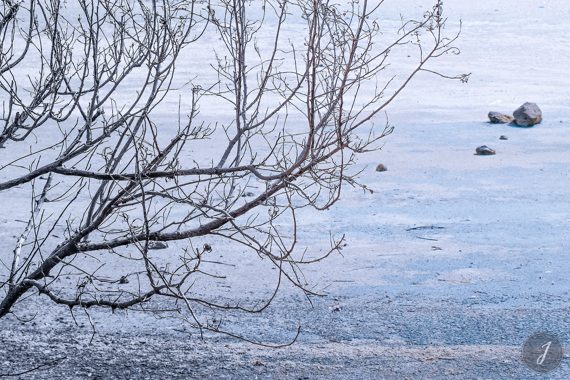 Neige Estivale - Lumière Salée - Grande Saline - Saint-Barthélemy - 2020