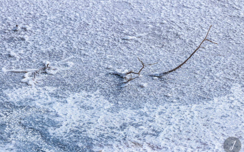 Neige Estivale - Lumière Salée - Grande Saline - Saint-Barthélemy - 2020