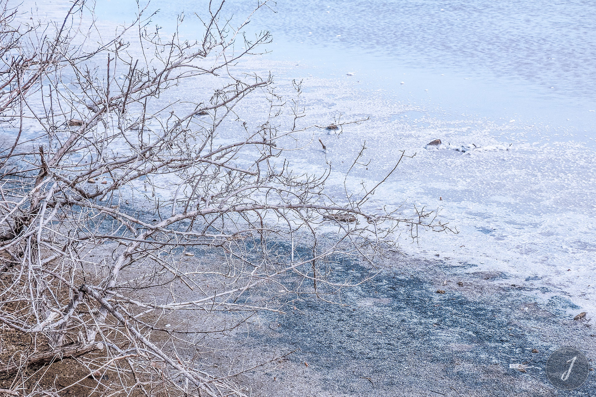 Neige Estivale - Lumière Salée - Grande Saline - Saint-Barthélemy - 2020