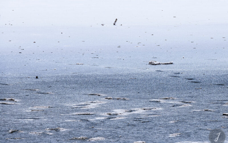 Neige Estivale - Lumière Salée - Grande Saline - Saint-Barthélemy - 2020
