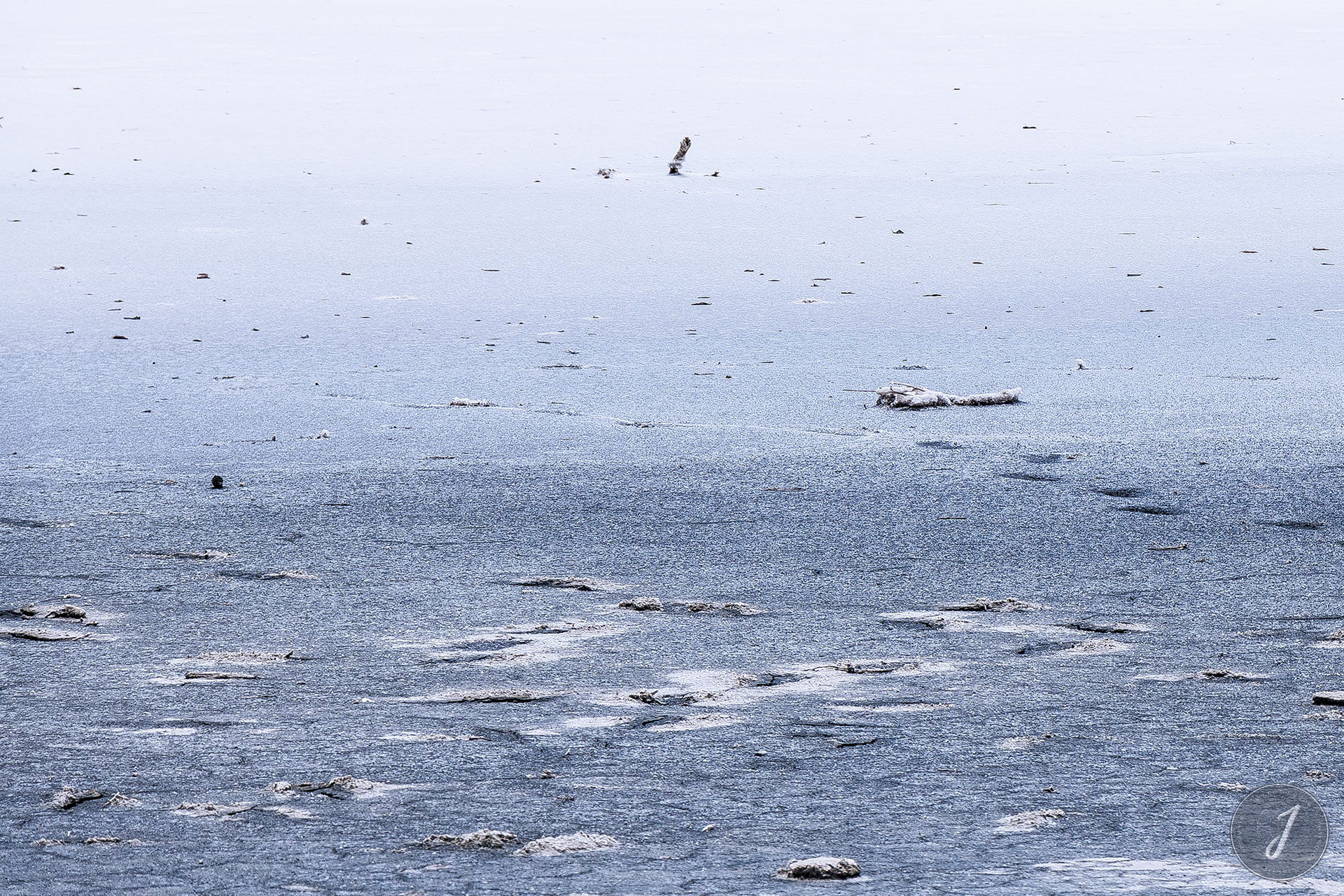 Neige Estivale - Lumière Salée - Grande Saline - Saint-Barthélemy - 2020