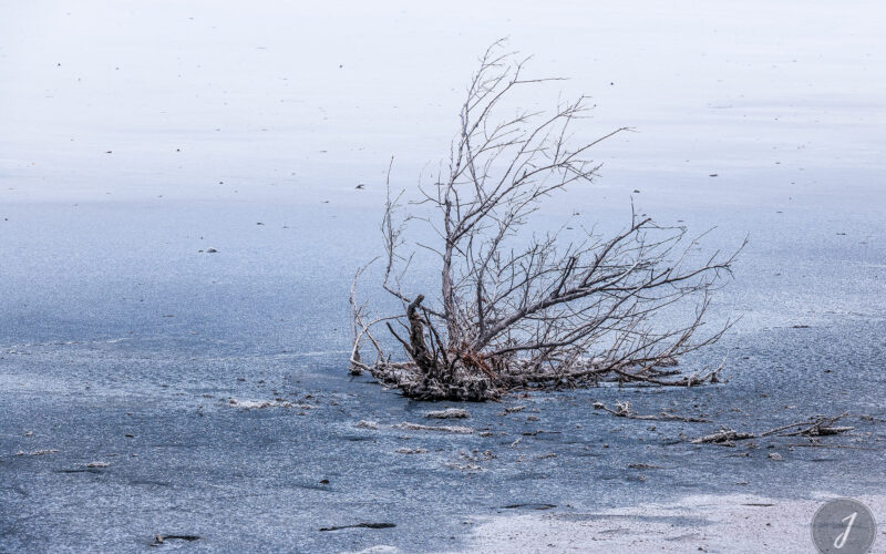 Neige Estivale - Lumière Salée - Grande Saline - Saint-Barthélemy - 2020