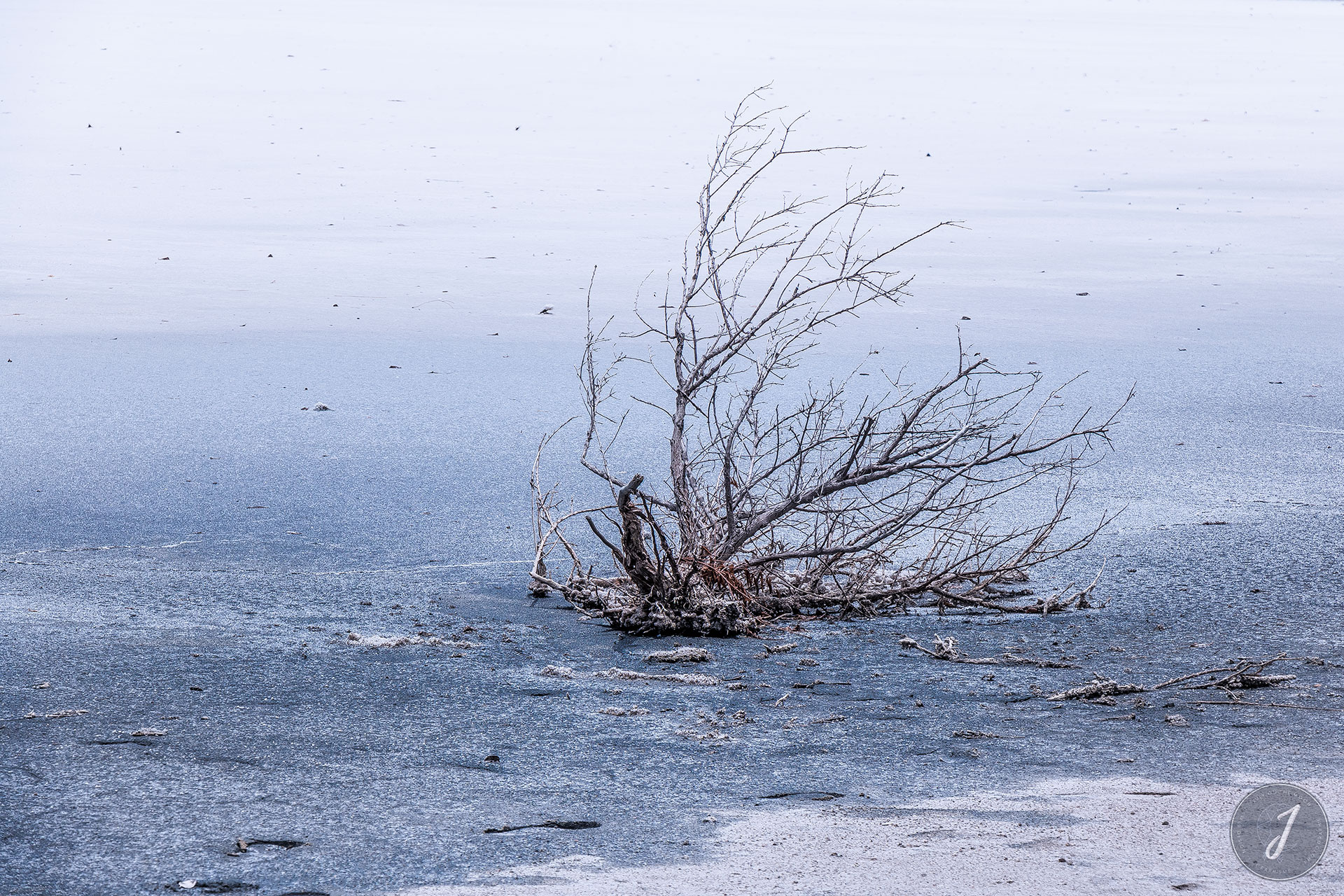 Neige Estivale - Lumière Salée - Grande Saline - Saint-Barthélemy - 2020