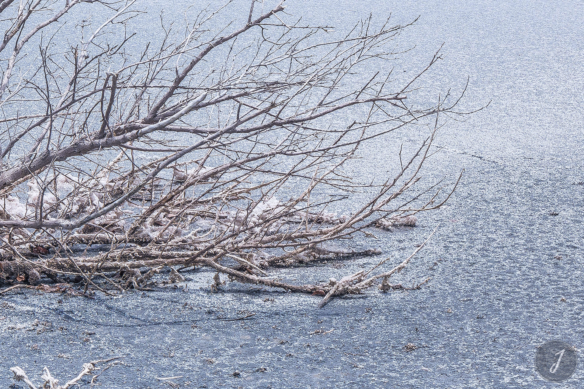 Neige Estivale - Lumière Salée - Grande Saline - Saint-Barthélemy - 2020