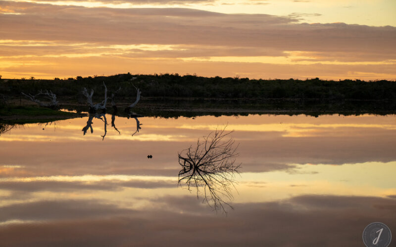 Miroir Salé - Lumière Salée - Grande Saline - Saint-Barthélemy - 2020