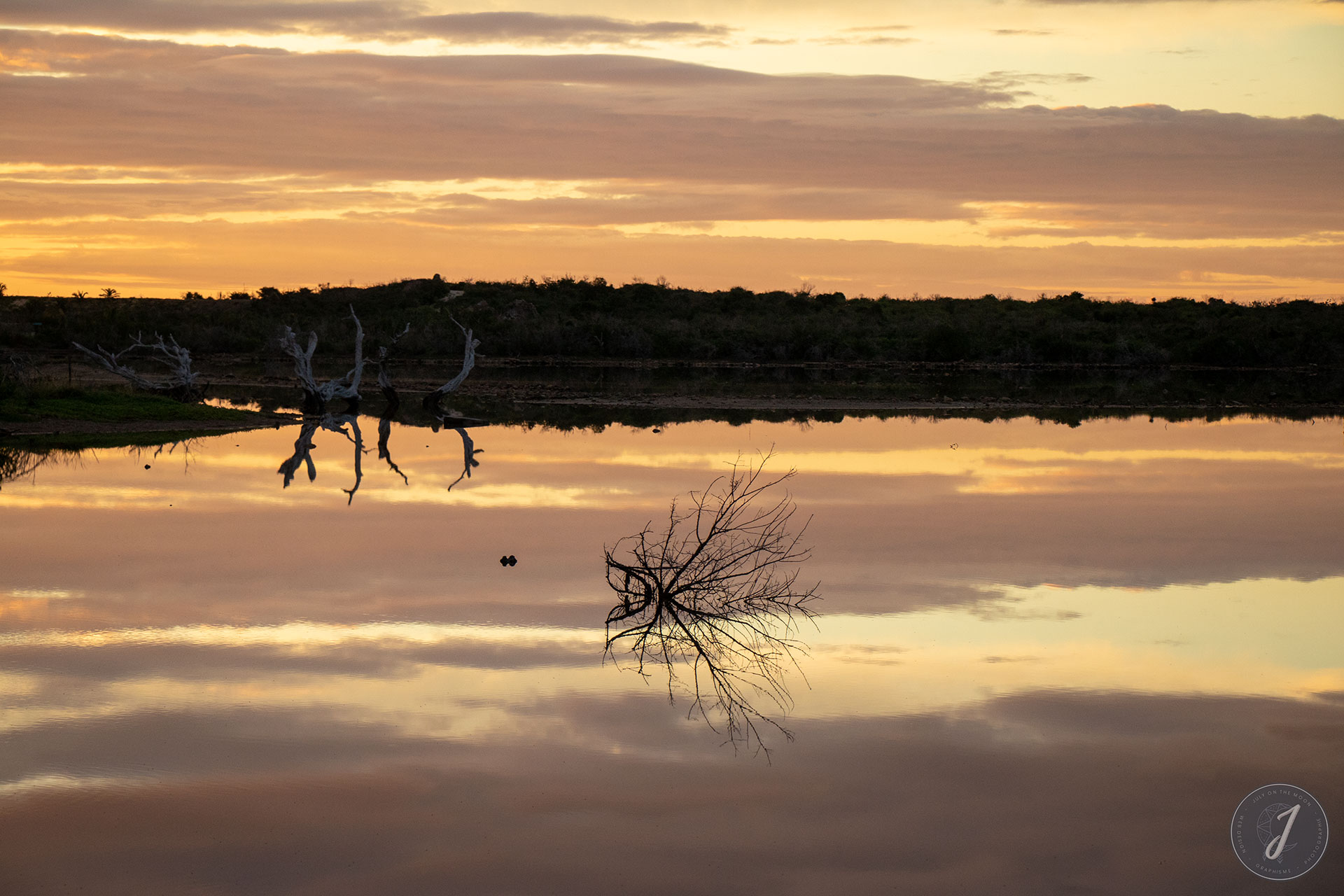 Miroir Salé - Lumière Salée - Grande Saline - Saint-Barthélemy - 2020