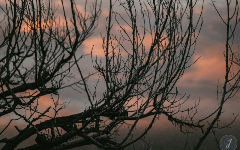 Miroir Salé - Lumière Salée - Grande Saline - Saint-Barthélemy - 2020
