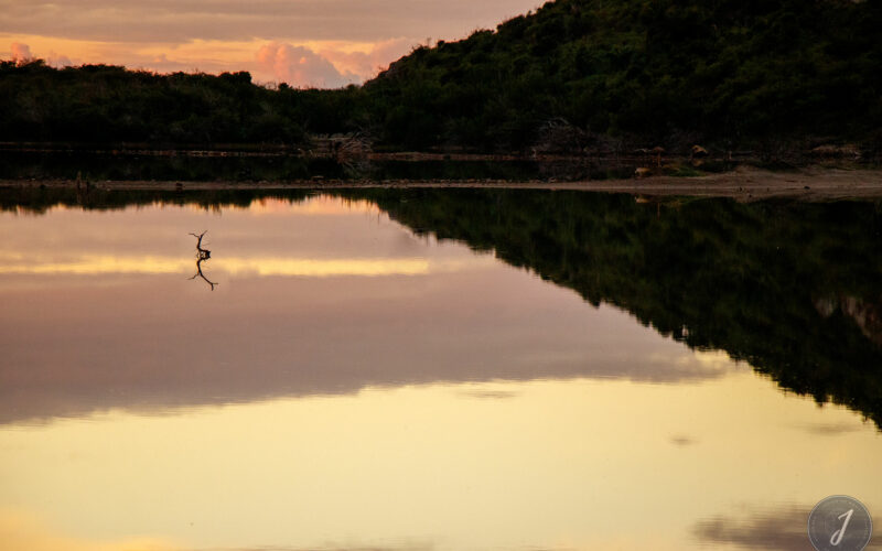 Miroir Salé - Lumière Salée - Grande Saline - Saint-Barthélemy - 2020