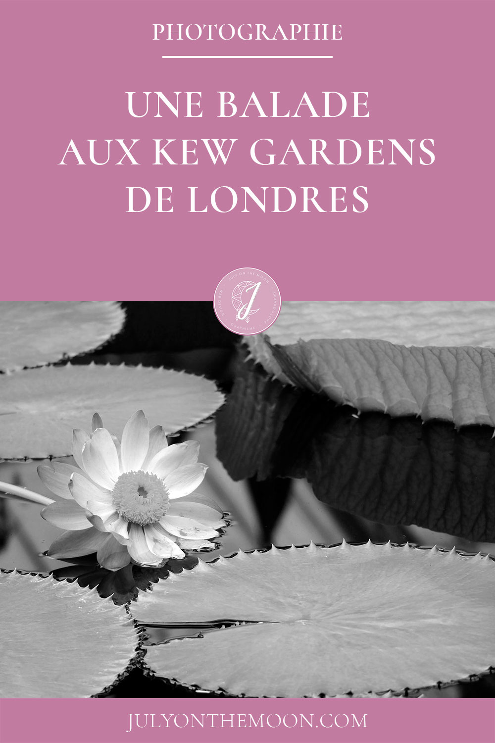 Voyage à Londres : la découverte des Kew Gardens Voyage à Londres : la découverte des Kew Gardens