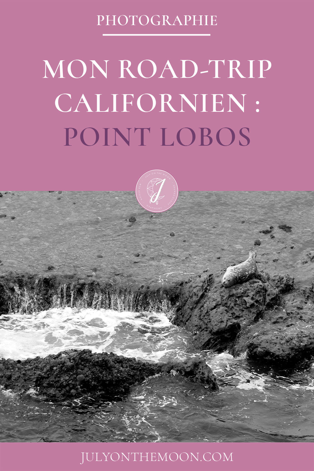Mon Road Trip californien : Point Lobos Mon Road Trip californien : Point Lobos