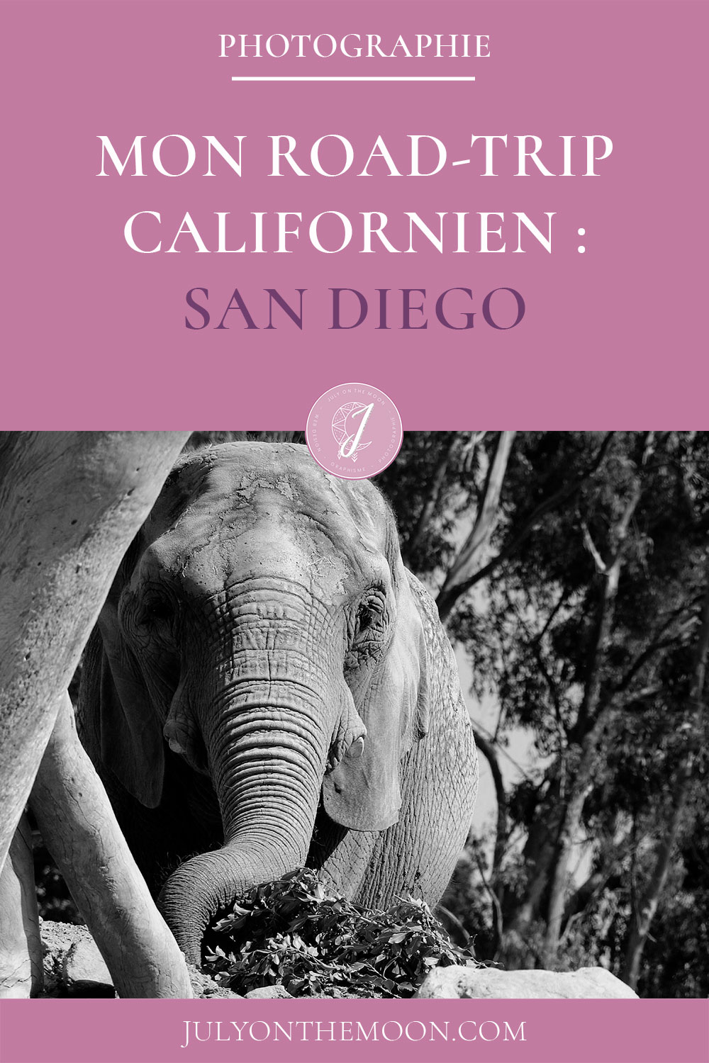 Mon Road Trip californien : San Diego Mon Road Trip californien : San Diego