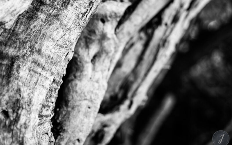 Romance - Grande Saline- Saint-Barthélemy - 2020