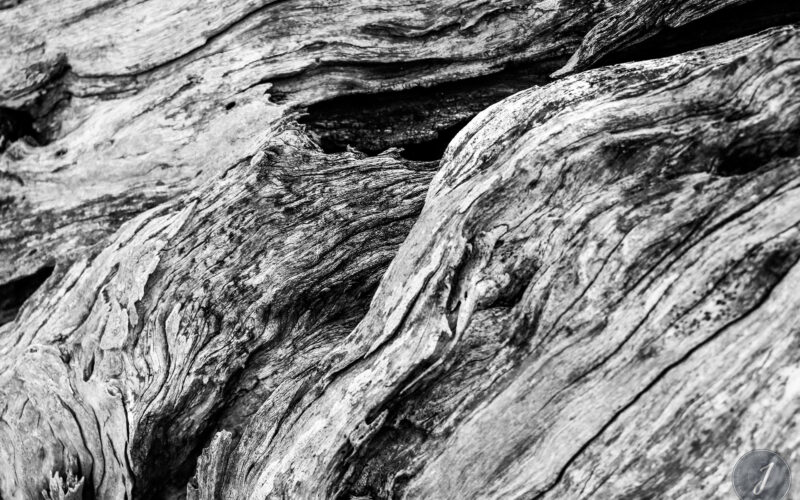 Romance - Grande Saline- Saint-Barthélemy - 2020