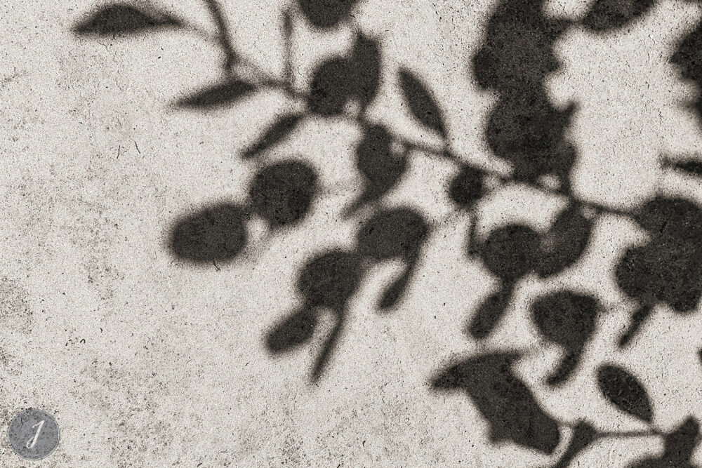 Shadows - Gouverneur - Saint-Barthélemy - 2021