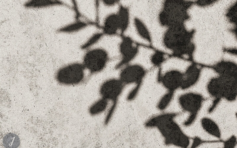 Shadows - Gouverneur - Saint-Barthélemy - 2021