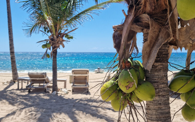 Création de feed Instagram - Hôtel Le Toiny - Saint-Barthélemy - 2021