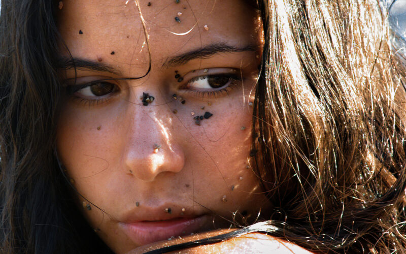 Bussaï - Eleonor - Corse - 2003