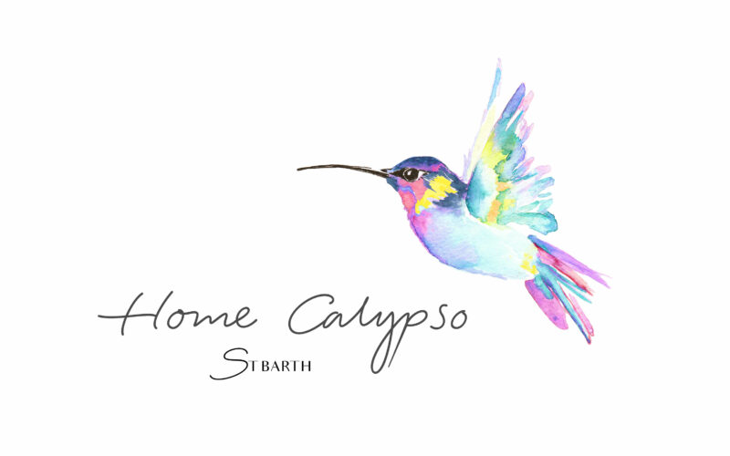 Création du logo illustré à l'aquarelle de Home Calypso - Graphisme - 2021