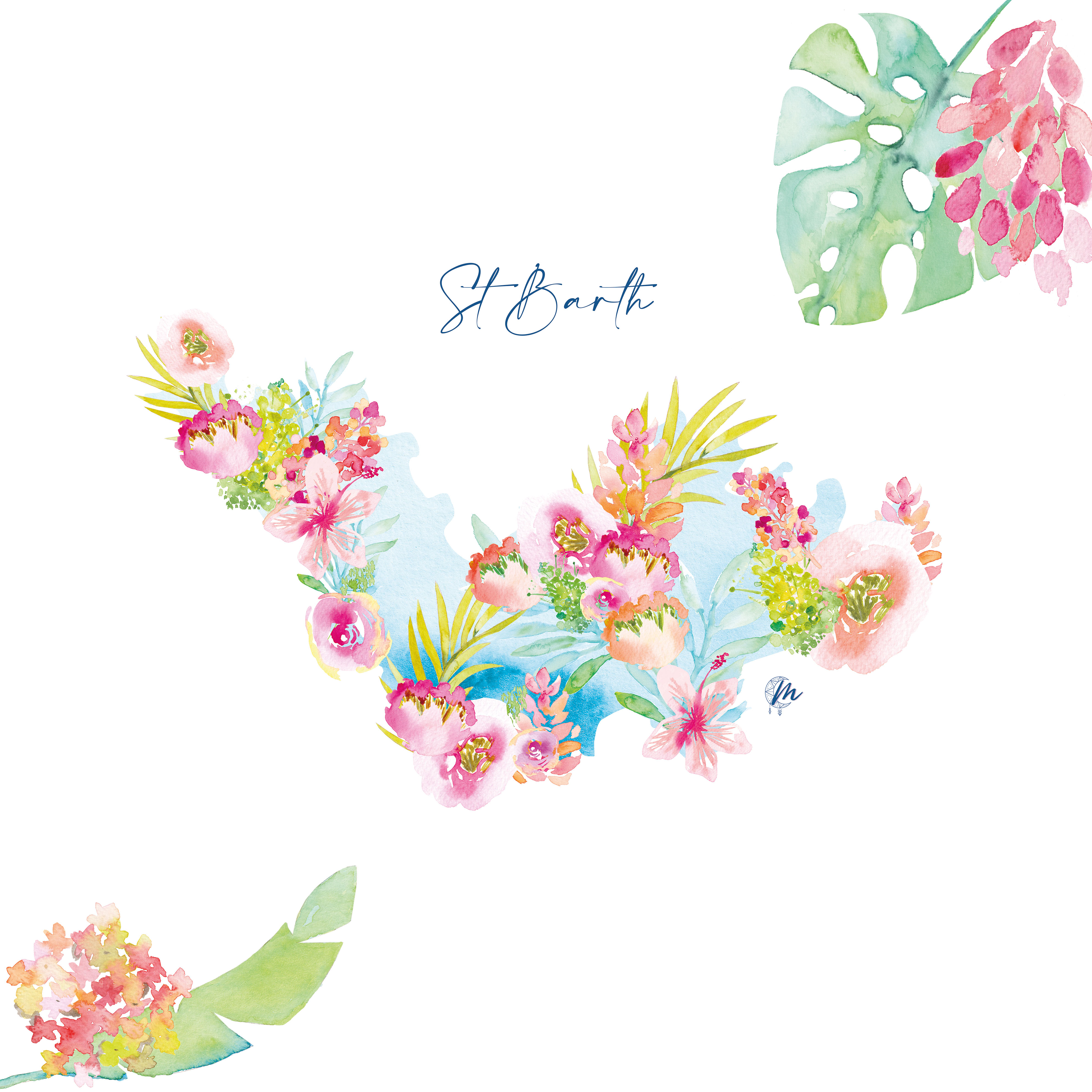 Moon St Barth – Illustration – Saint-Barthélemy