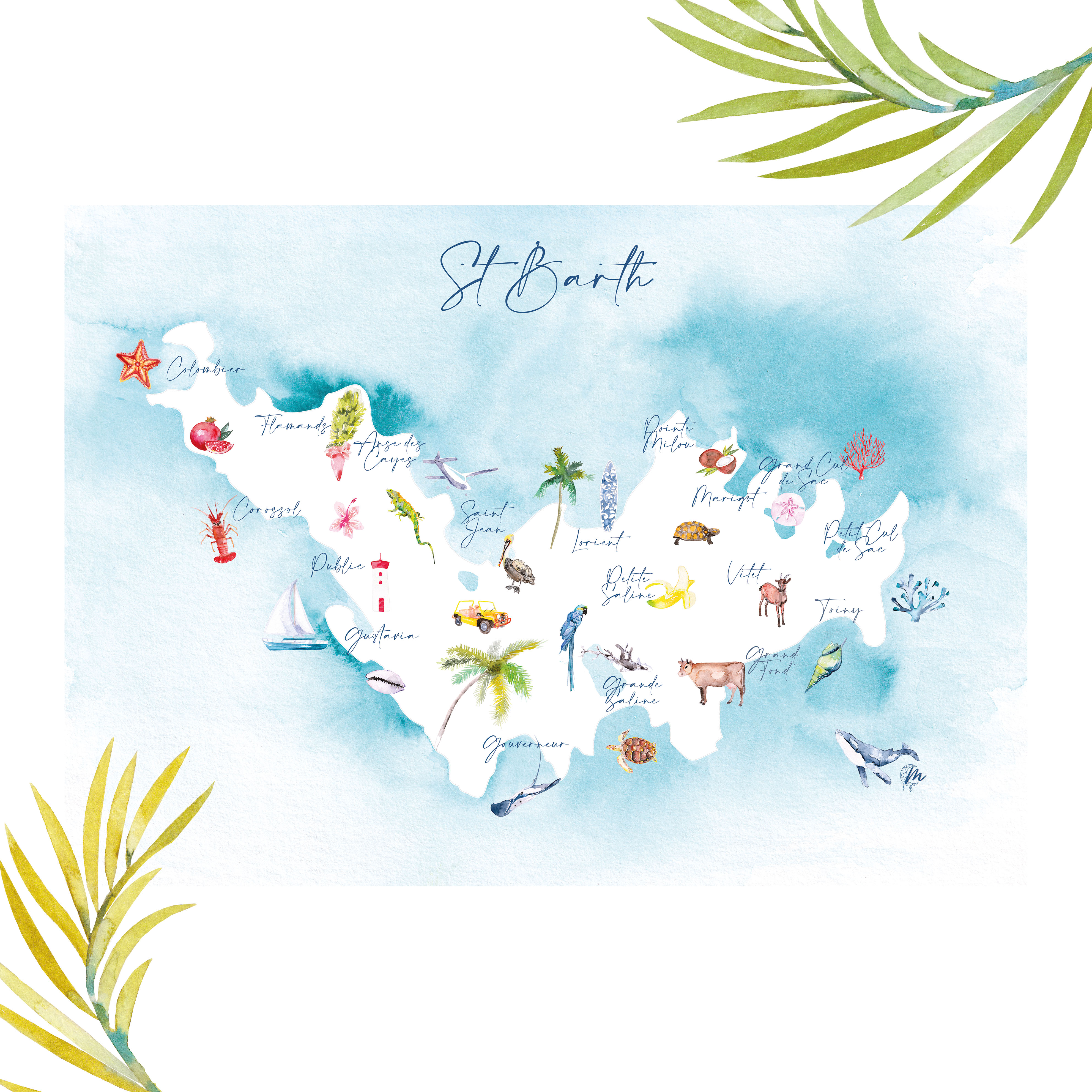 Moon St Barth – Illustration – Saint-Barthélemy