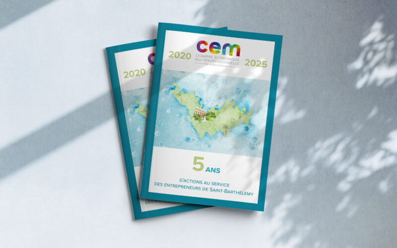 Bilan de Mandature et Rapport d'Activité 2025 de la CEM - July On The Moon