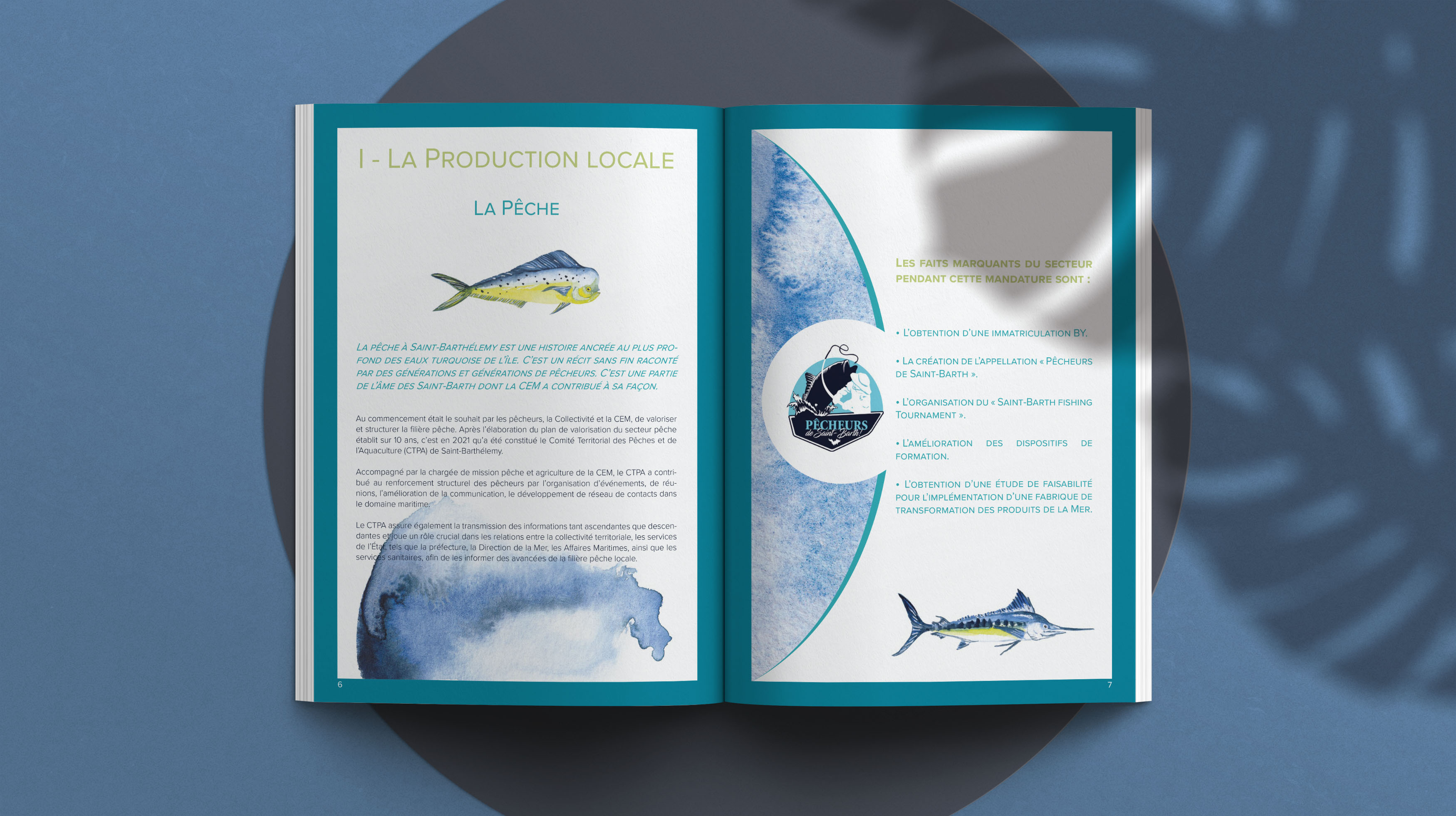 Bilan de Mandature de la CEM – July On The Moon Bilan de Mandature de la CEM - July On The Moon