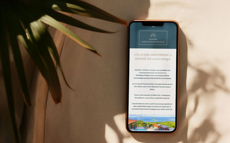 Migration et réparation du site de location Domaine Habitation Merveilleuse