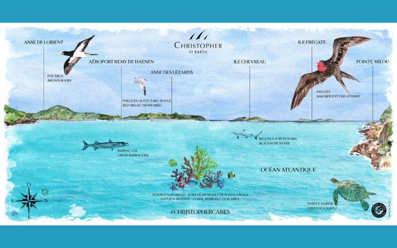 Création d'une table d’observation illustrée à l'aquarelle pour l’Hôtel Christopher St Barth - July On The Moon
