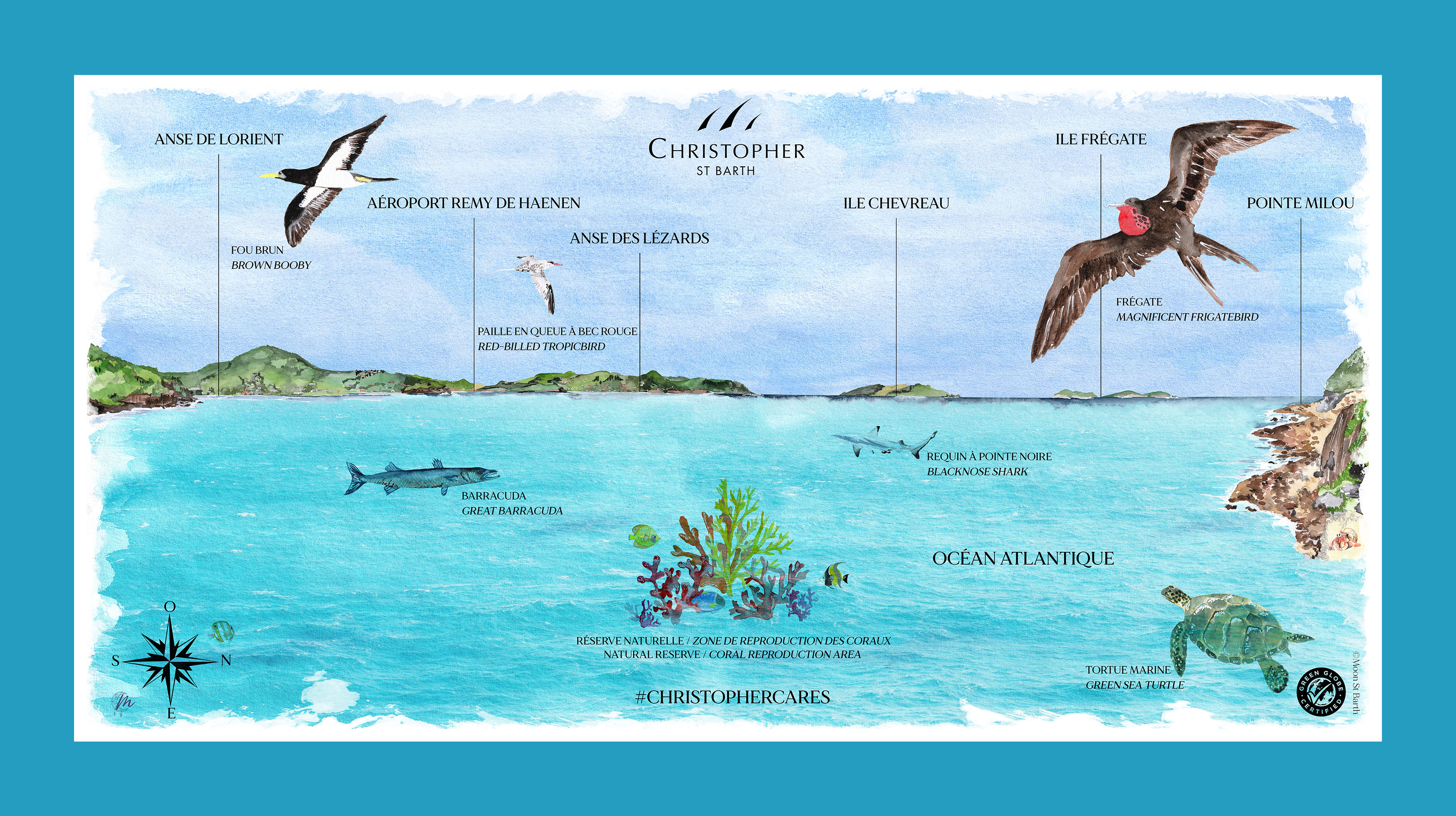 Création d’une table d’observation illustrée à l’aquarelle pour l’Hôtel Christopher St Barth – July On The Moon Création d'une table d’observation illustrée à l'aquarelle pour l’Hôtel Christopher St Barth - July On The Moon