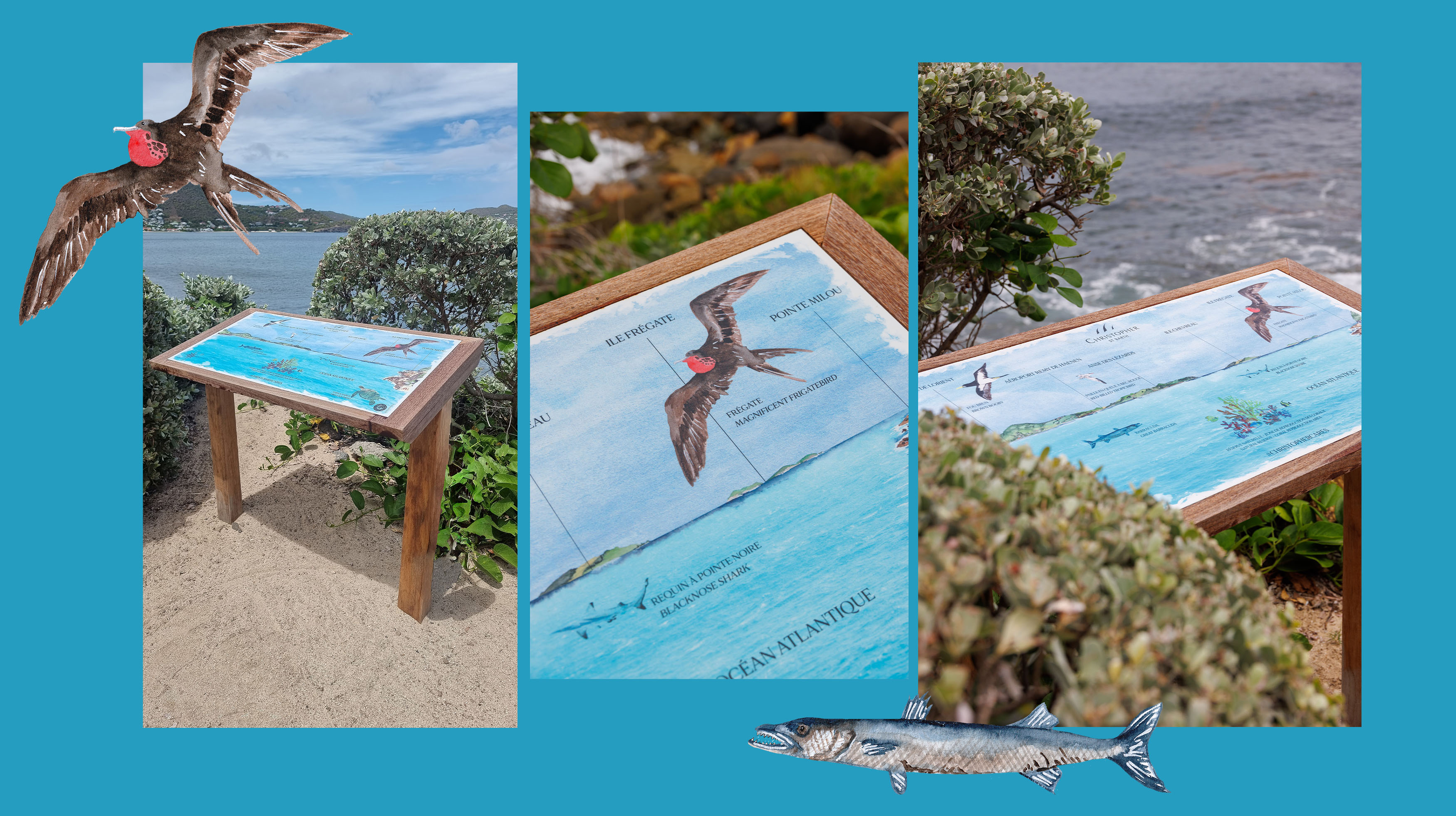 Création d’une table d’observation illustrée à l’aquarelle pour l’Hôtel Christopher St Barth – July On The Moon Création d'une table d’observation illustrée à l'aquarelle pour l’Hôtel Christopher St Barth - July On The Moon