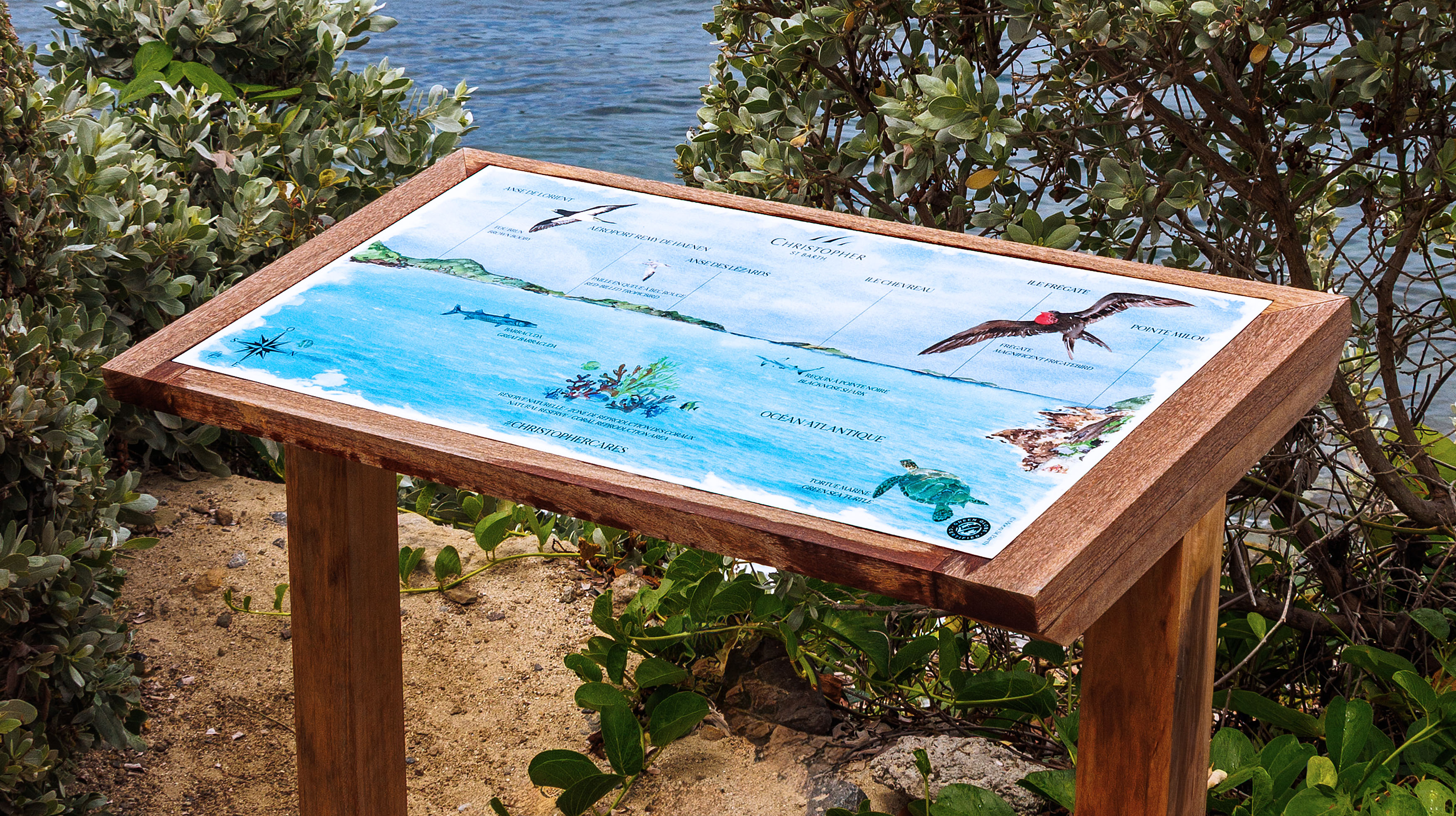 Création d'une table d’observation illustrée à l'aquarelle pour l’Hôtel Christopher St Barth - July On The Moon