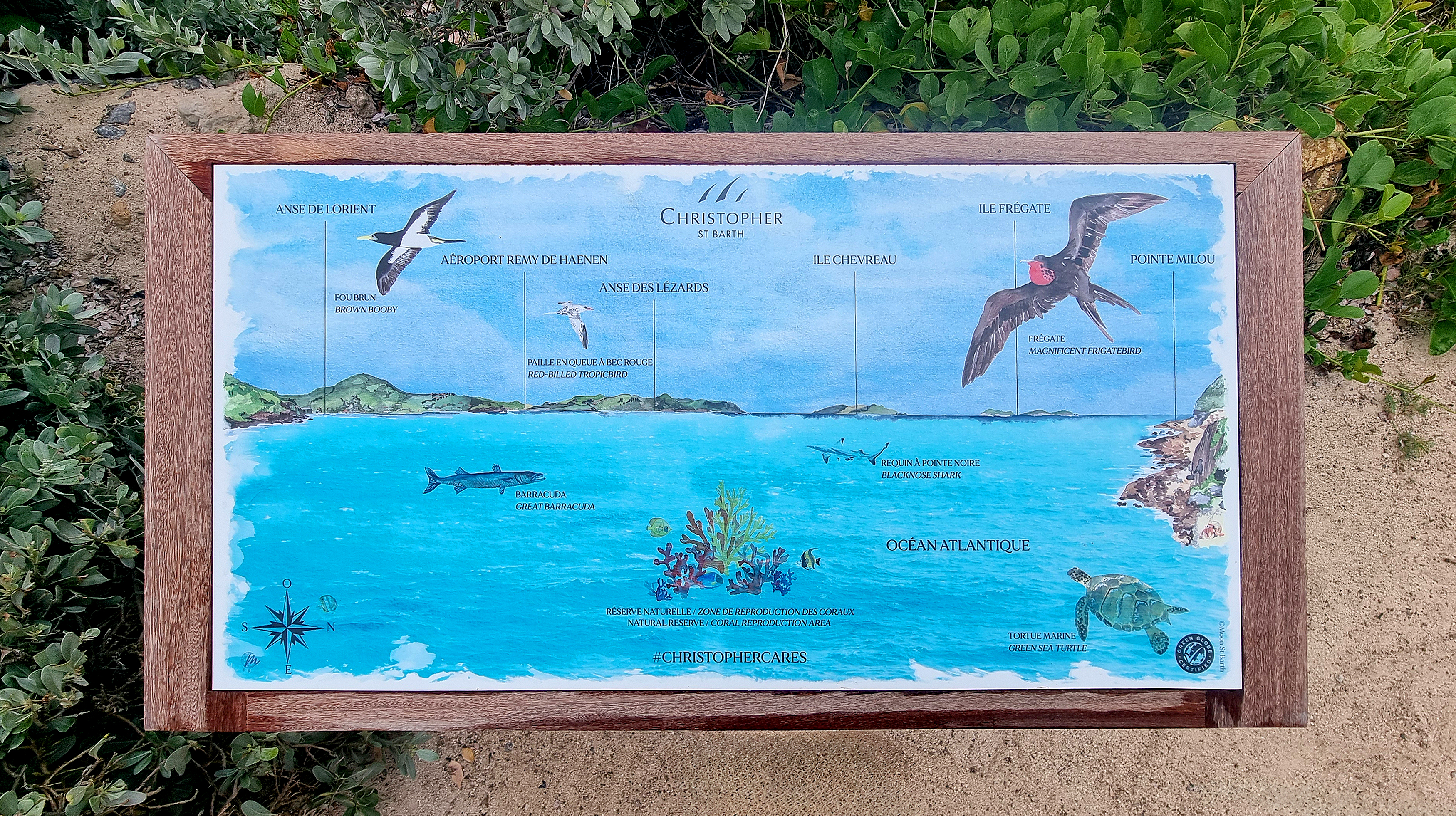 Création d’une table d’observation illustrée à l’aquarelle pour l’Hôtel Christopher St Barth – July On The Moon Création d'une table d’observation illustrée à l'aquarelle pour l’Hôtel Christopher St Barth - July On The Moon