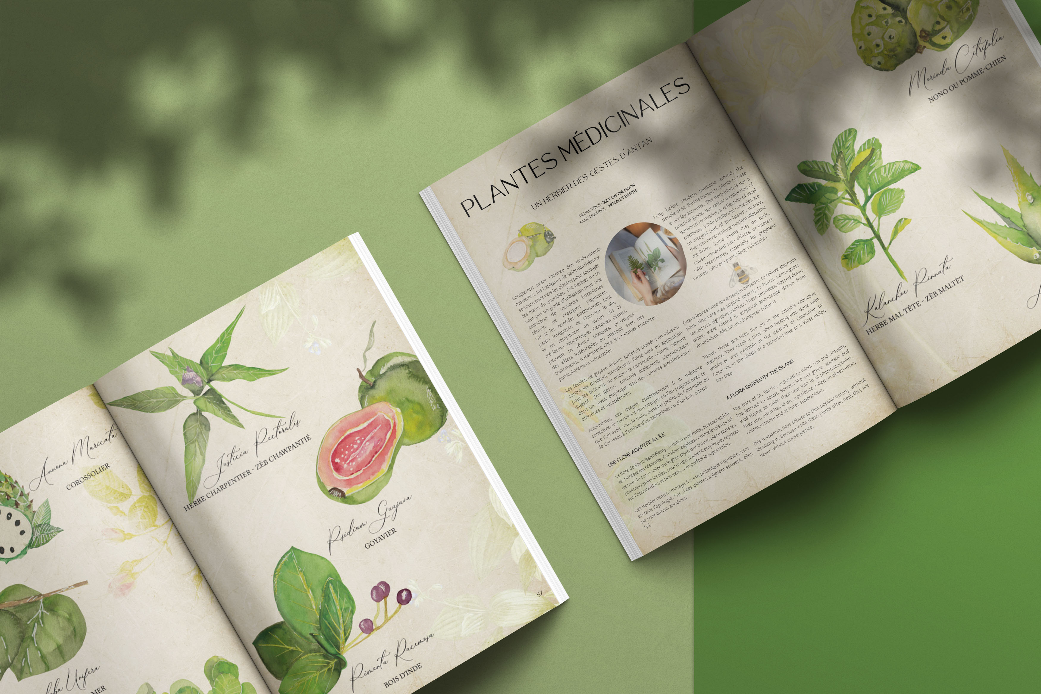 Direction artistique et conception graphique du magazine Discover Saint-Barthélemy N°28 – 2026 Direction artistique et conception graphique du magazine Discover Saint-Barthélemy N°28 - 2026