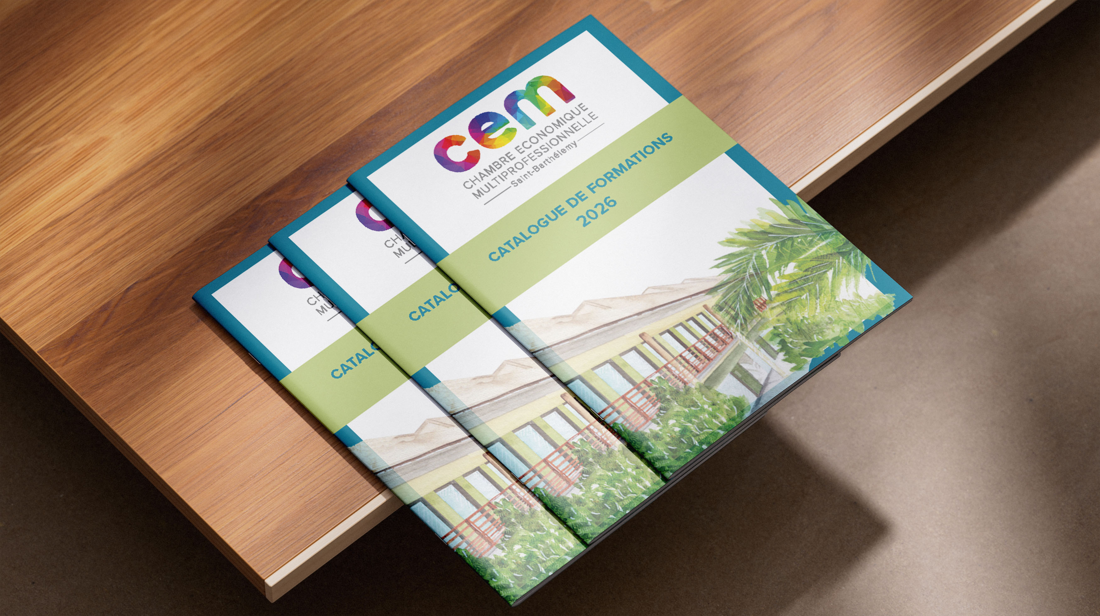 Création du catalogue des formations 2026 de la CEM – July On The Moon Création du catalogue des formations 2026 de la CEM - July On The Moon
