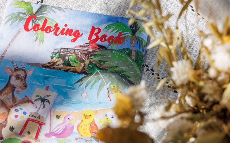 Carnet de coloriage pour l'Eden Rock St Barths - July On The Moon.