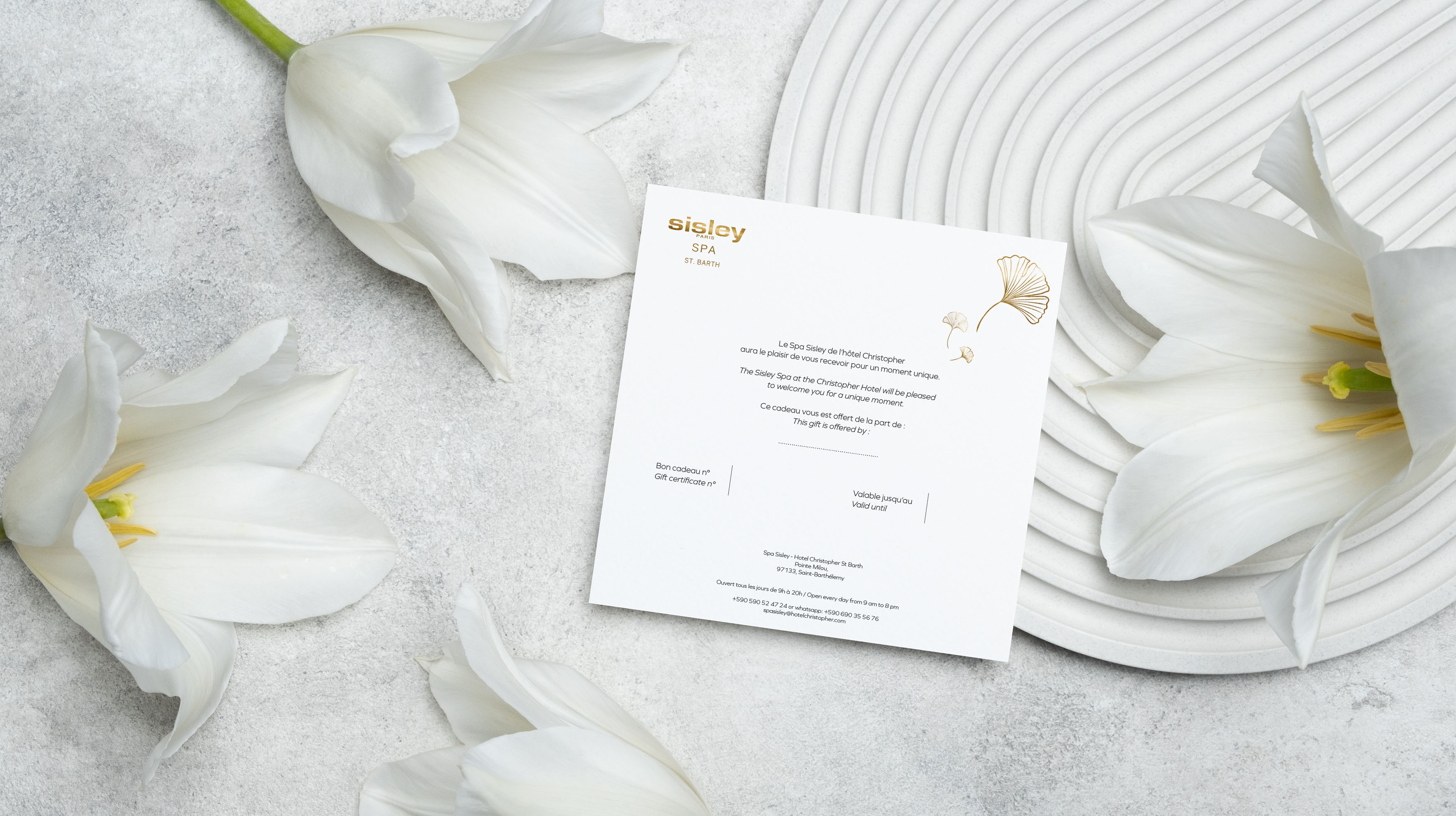 Création d’une brochure illustrée pour le Spa Sisley du Christopher St Barth – July On The Moon Création d’une brochure illustrée pour le Spa Sisley du Christopher St Barth - July On The Moon